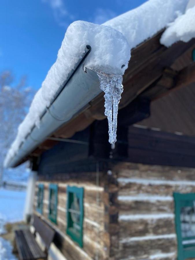Ferienhaus Waldtraum Sankt Veit an der Glan Bagian luar foto