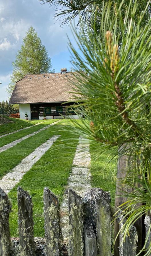 Ferienhaus Waldtraum Sankt Veit an der Glan Bagian luar foto
