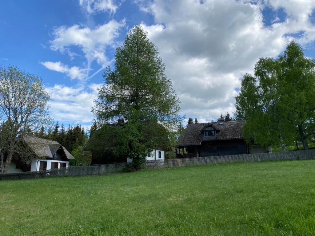 Ferienhaus Waldtraum Sankt Veit an der Glan Bagian luar foto