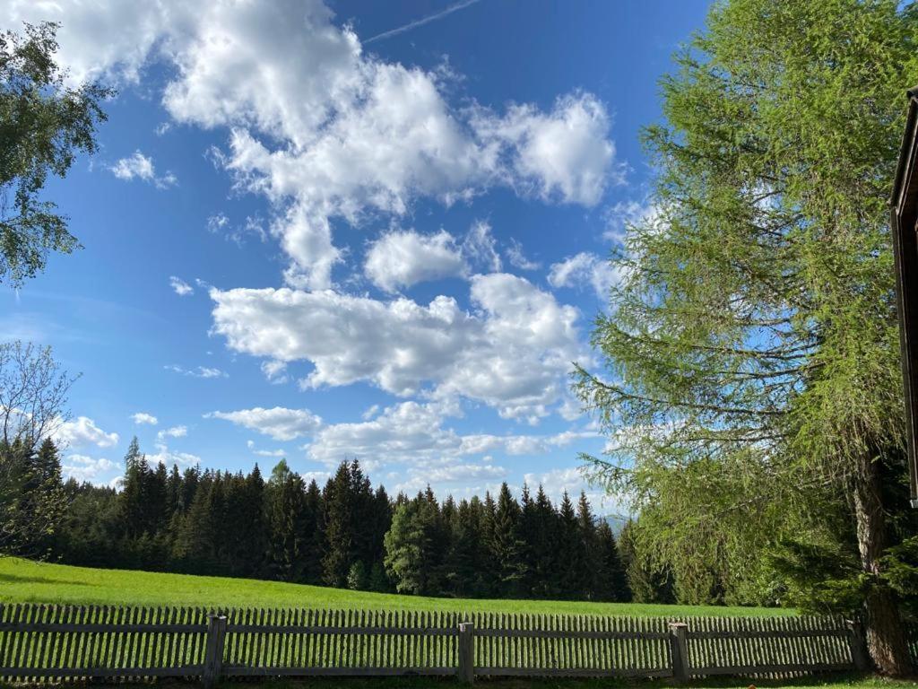 Ferienhaus Waldtraum Sankt Veit an der Glan Bagian luar foto
