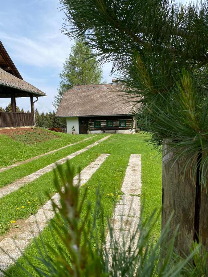 Ferienhaus Waldtraum Sankt Veit an der Glan Bagian luar foto